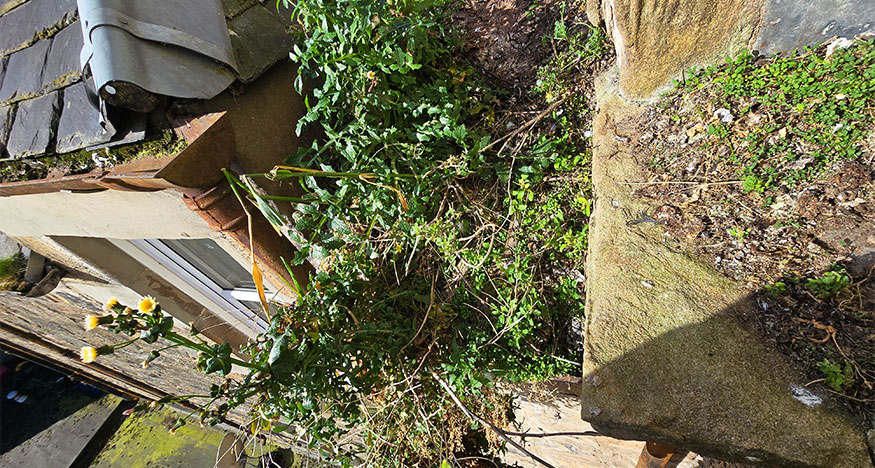 Tenement-Gutter-Cleaning-Edinburgh