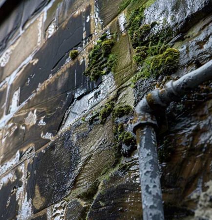 Why-Do-Tenements-Get-Damp